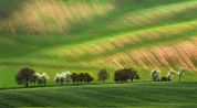 Ondrej Medveď - Cunami  (Slovakia)